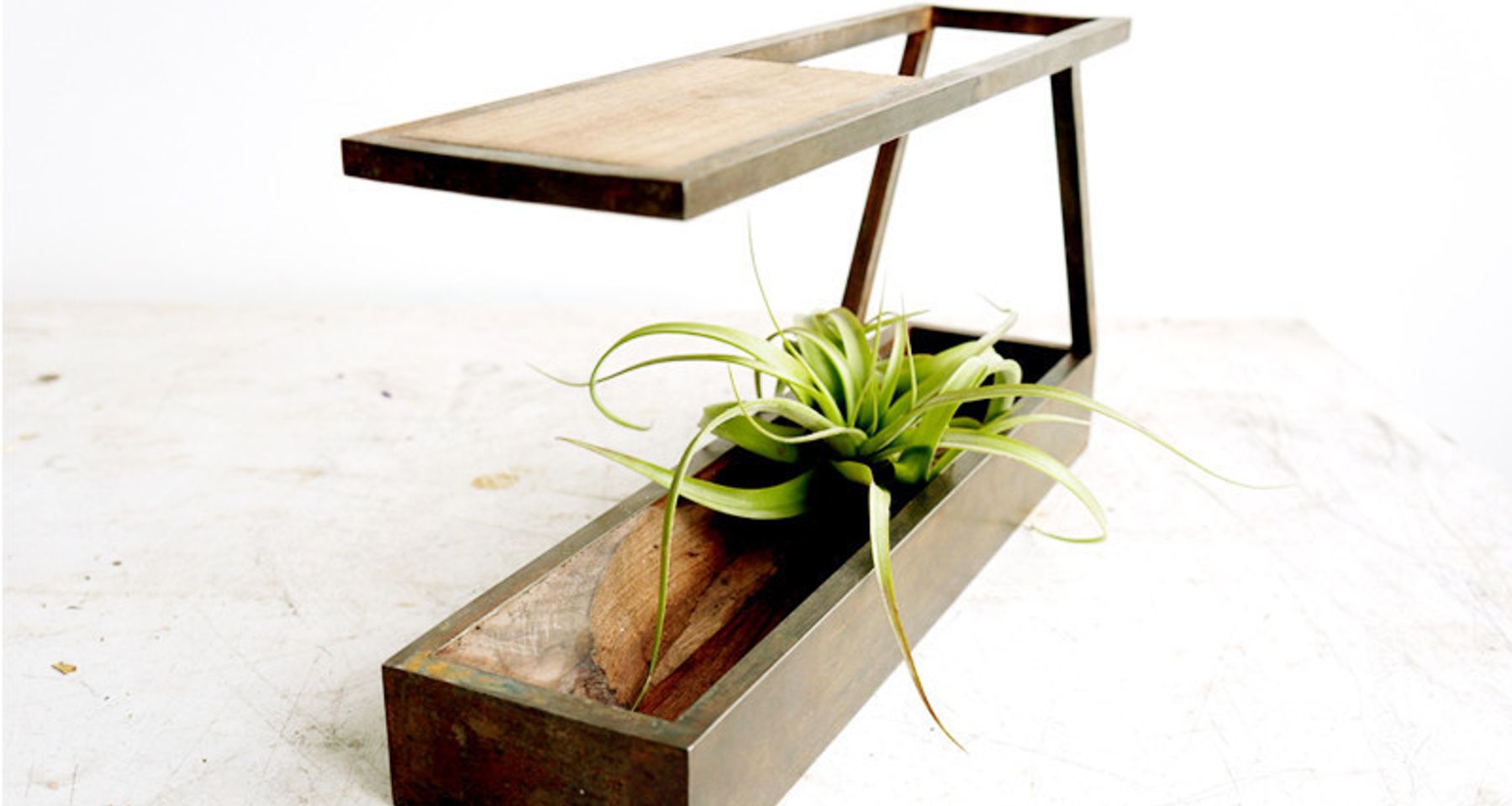 Mini II - Mobius Terrarium  by Plant-In City