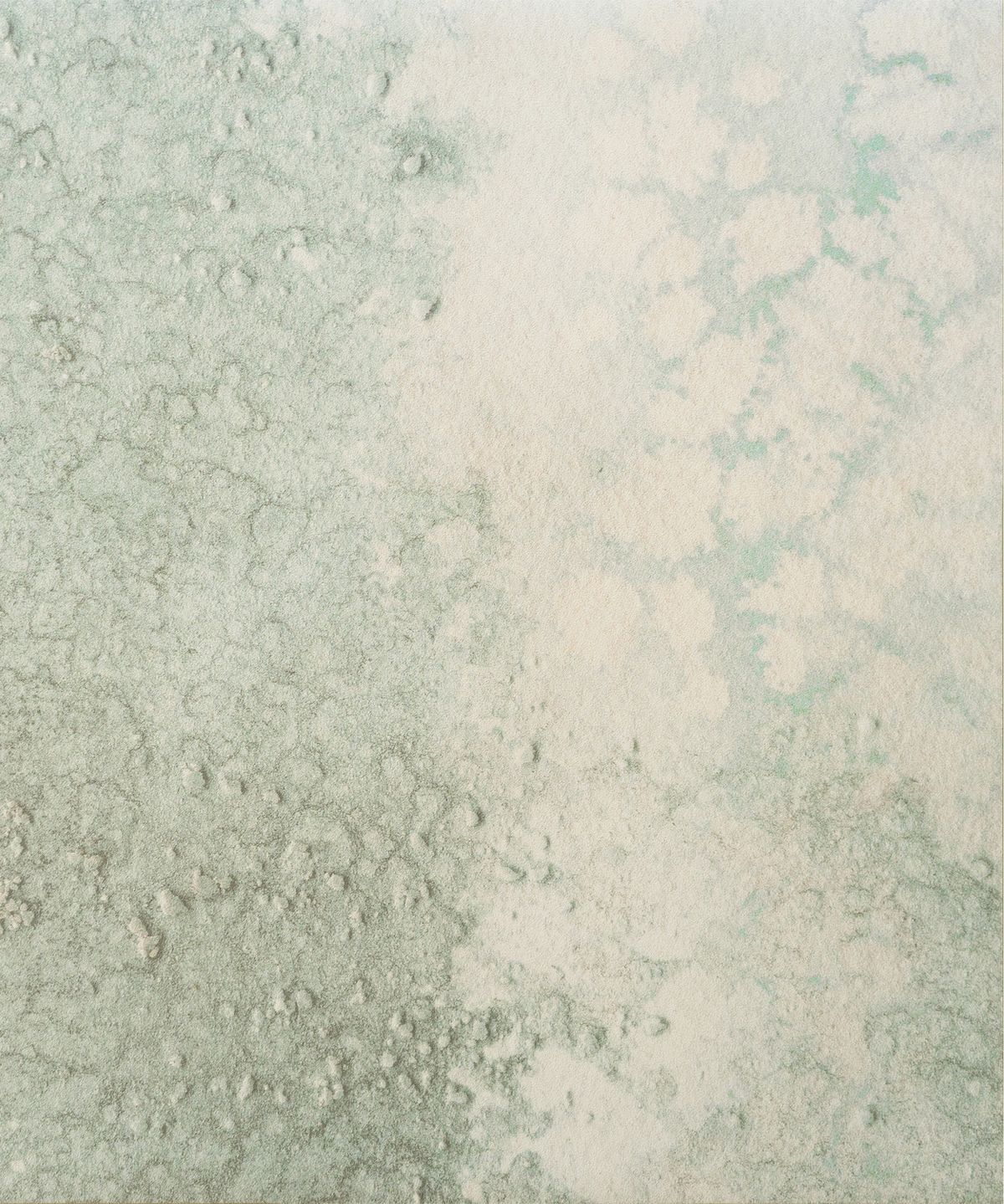COVE (Oceania Collection)