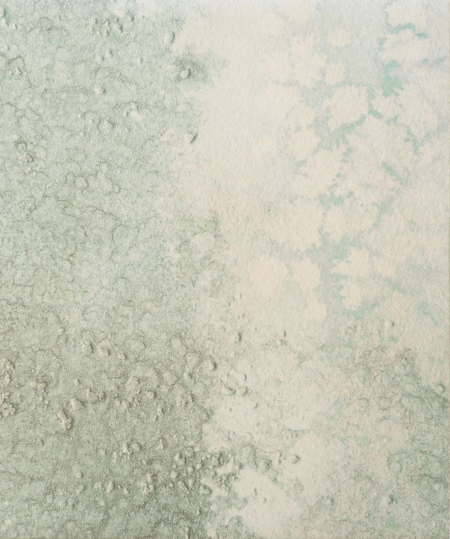 COVE (Oceania Collection)