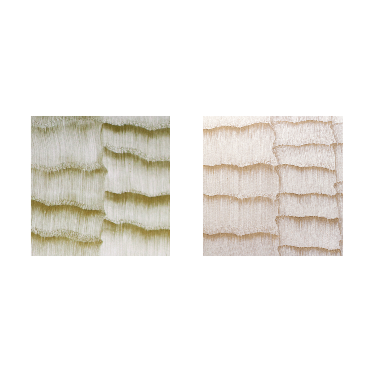 ÁVRA Collection