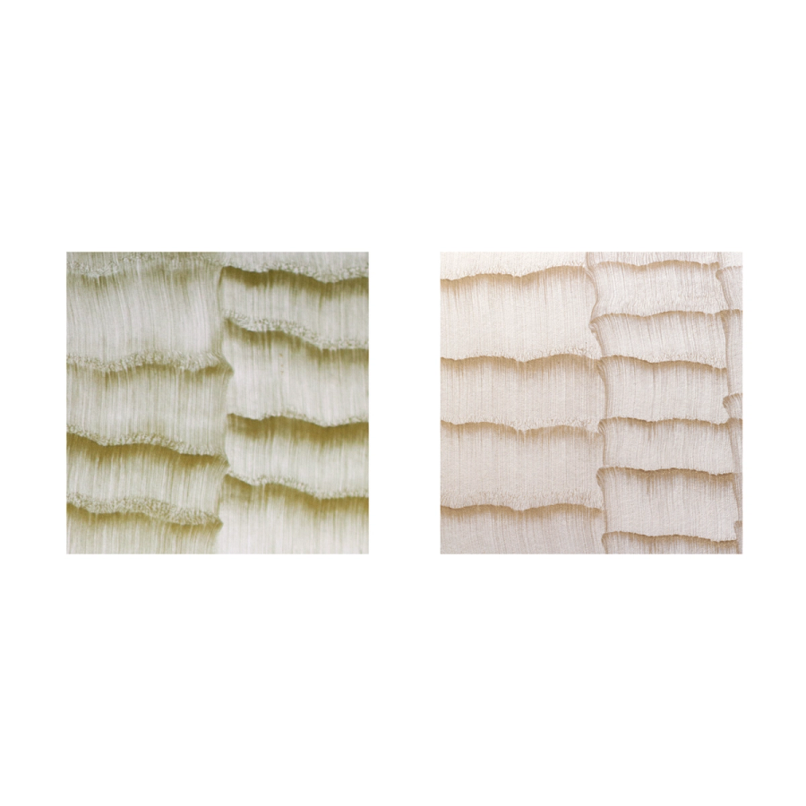 ÁVRA Collection