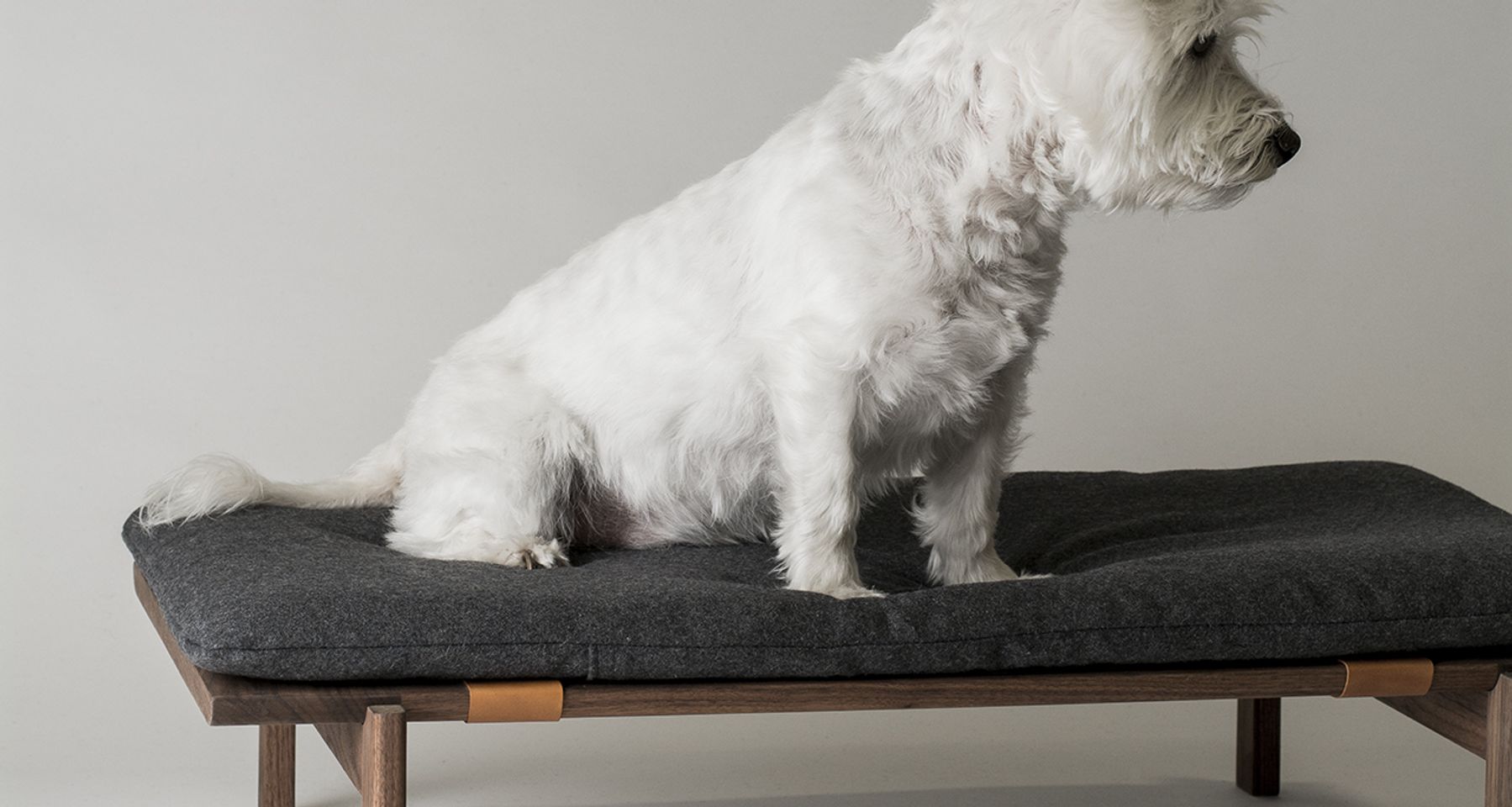 Walden dog bed by KomoLab