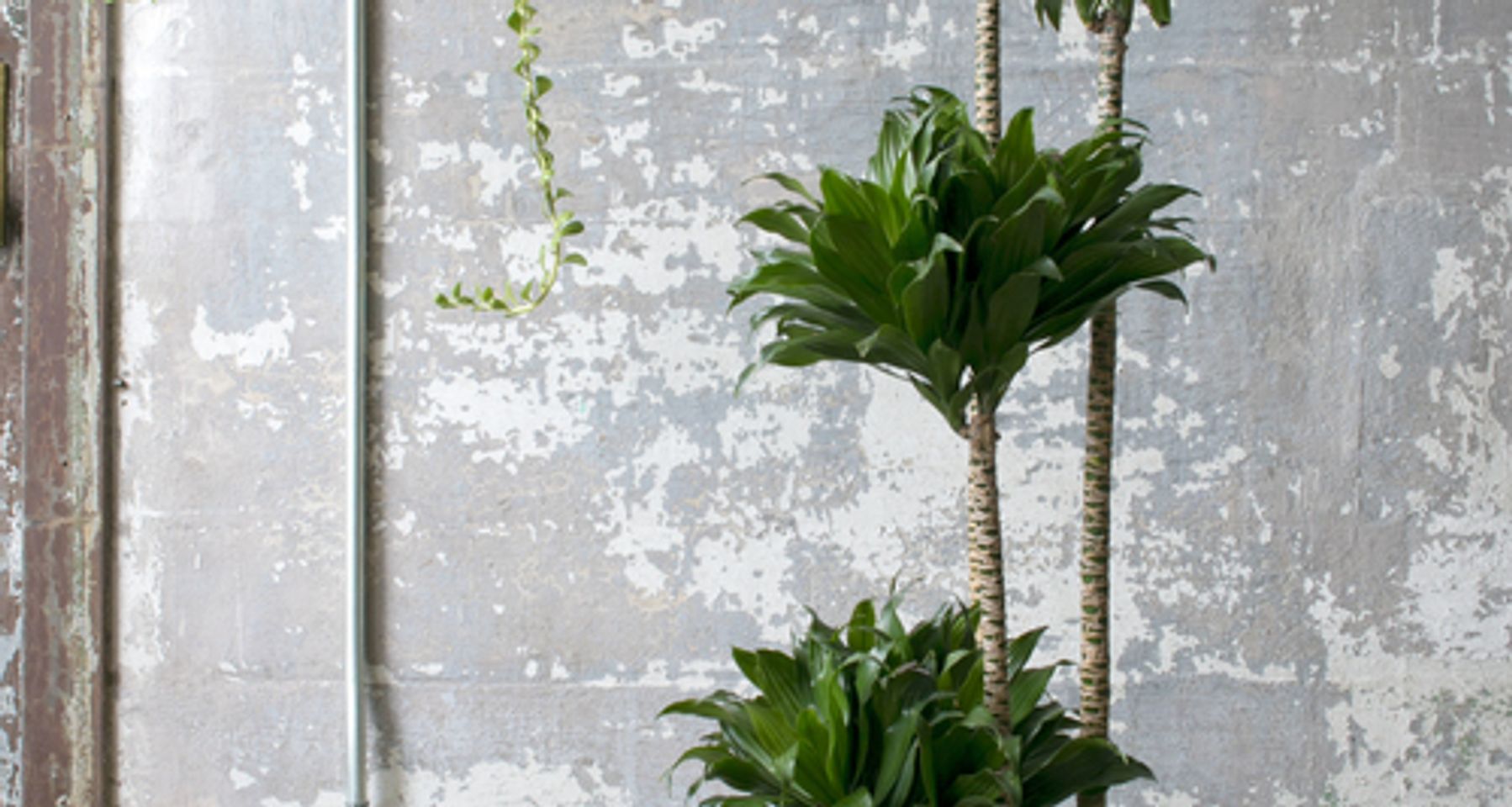 Vayu Floor Planter by Light + Ladder