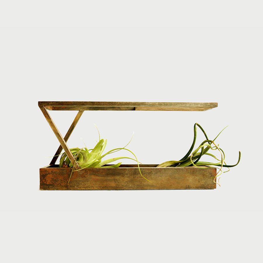 Mini II - Mobius Terrarium 