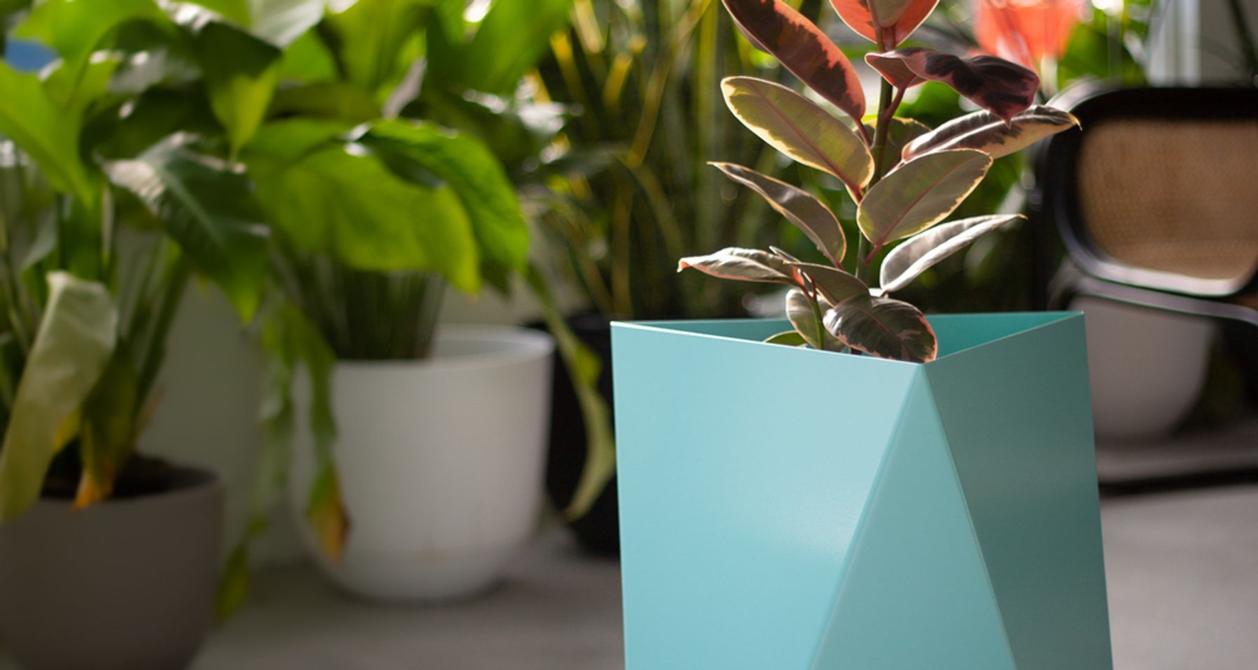 Deca Planter | Mineral by Force/Collide