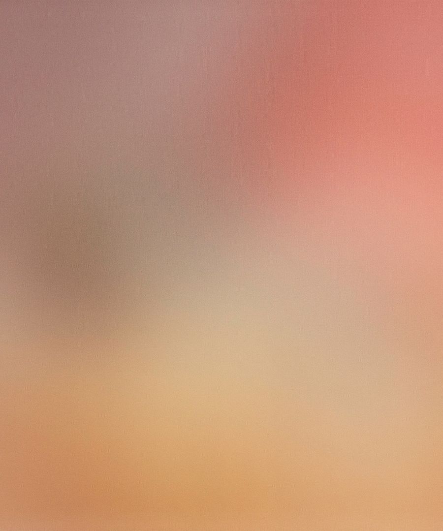 MULA (Aura Collection)
