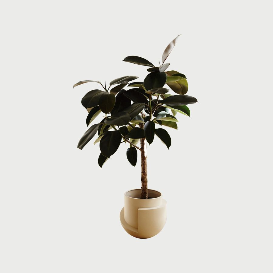 Vayu Floor Planter