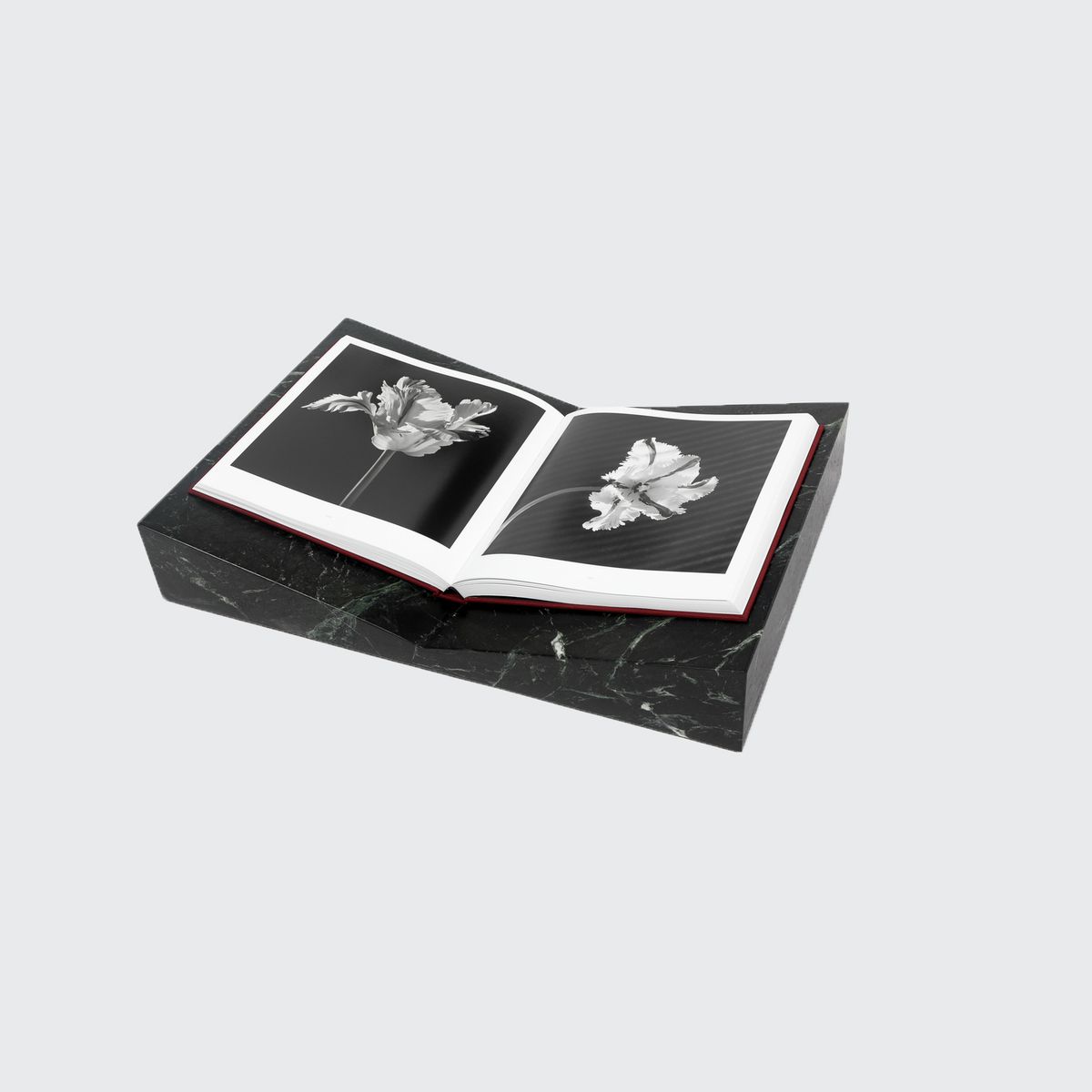 Valley Bookscape - Marble
