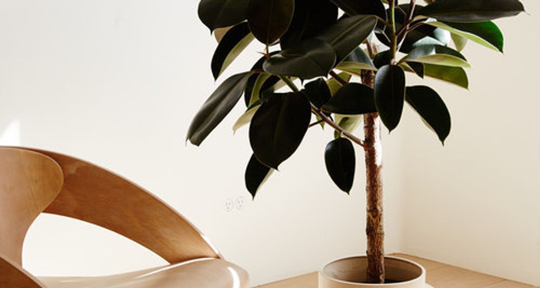 Vayu Floor Planter by Light + Ladder