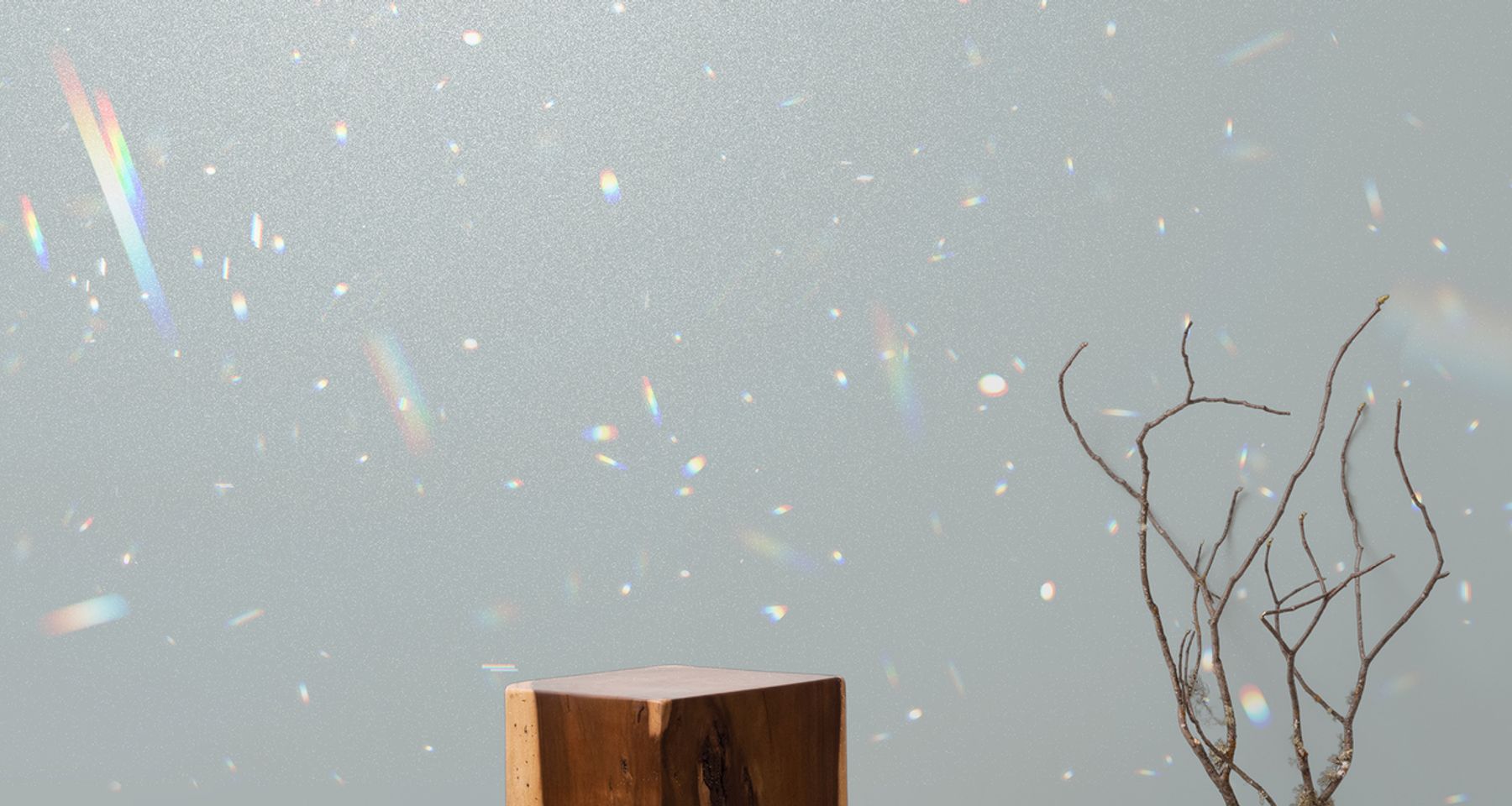 CHROMA (Prism Collection) by Calico Wallpaper