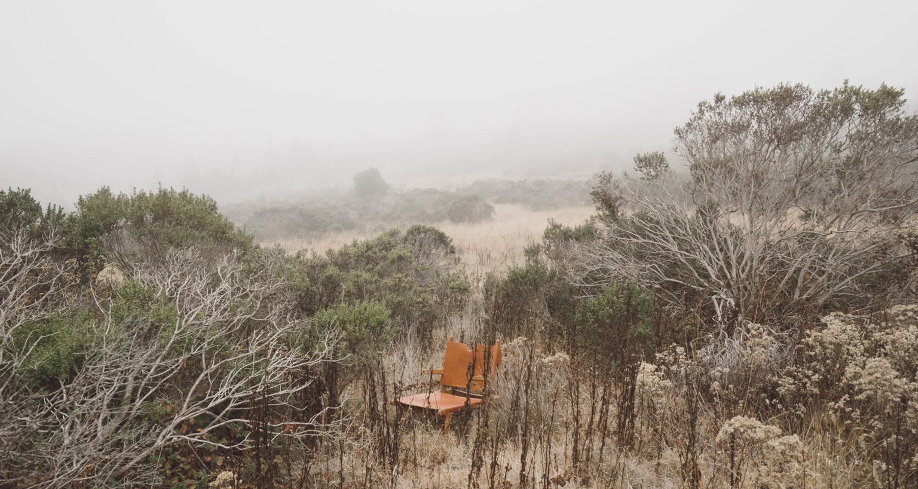 Plume Chair by Sun at Six