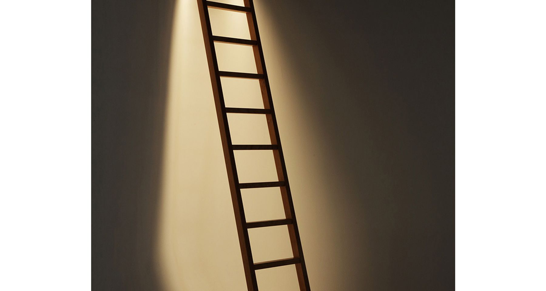 Handmade Cherry LED Ladder Light by Fort Makers