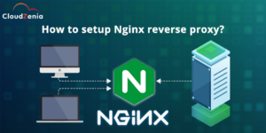 How to setup Nginx Reverse proxy?