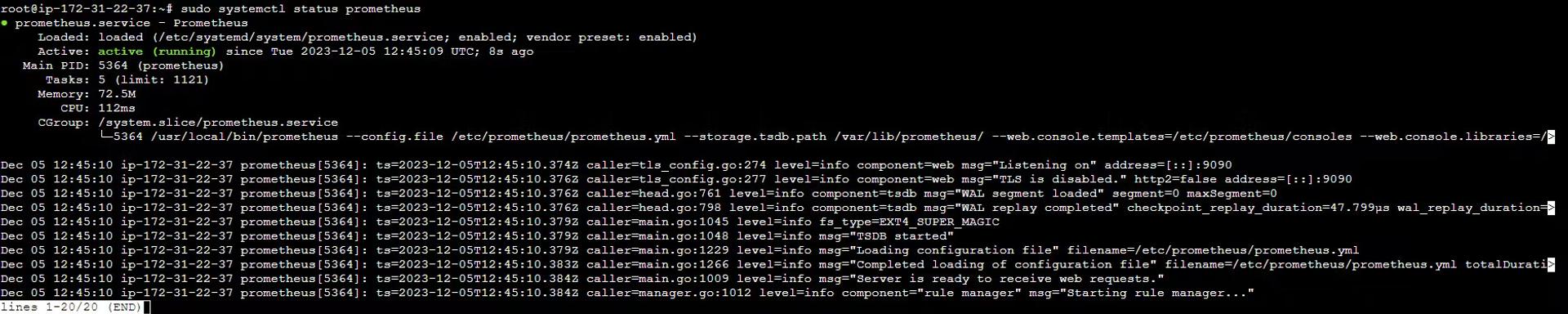 A Step-by-Step Guide to Setting up Prometheus on AWS EC2