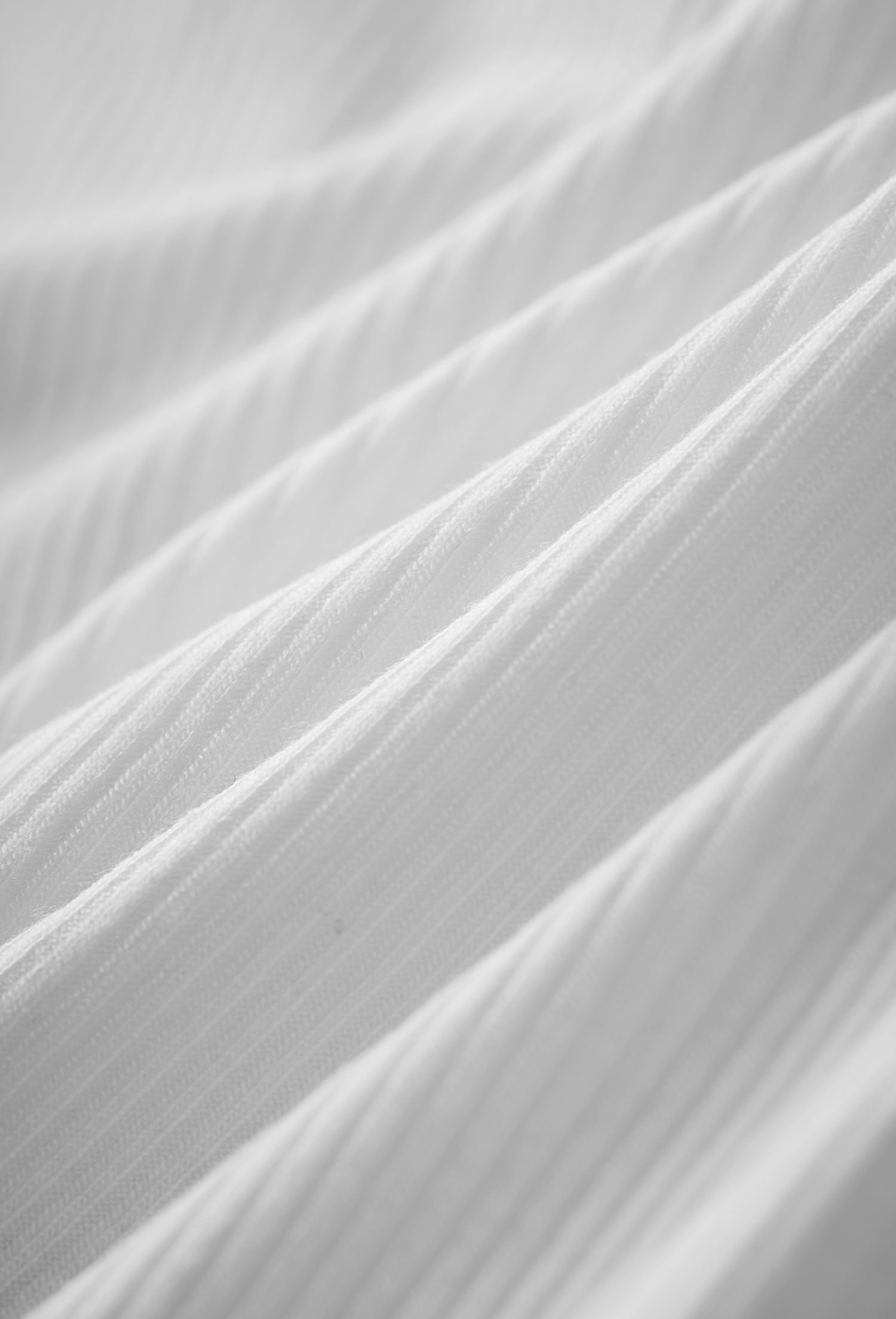 _DSC5925
