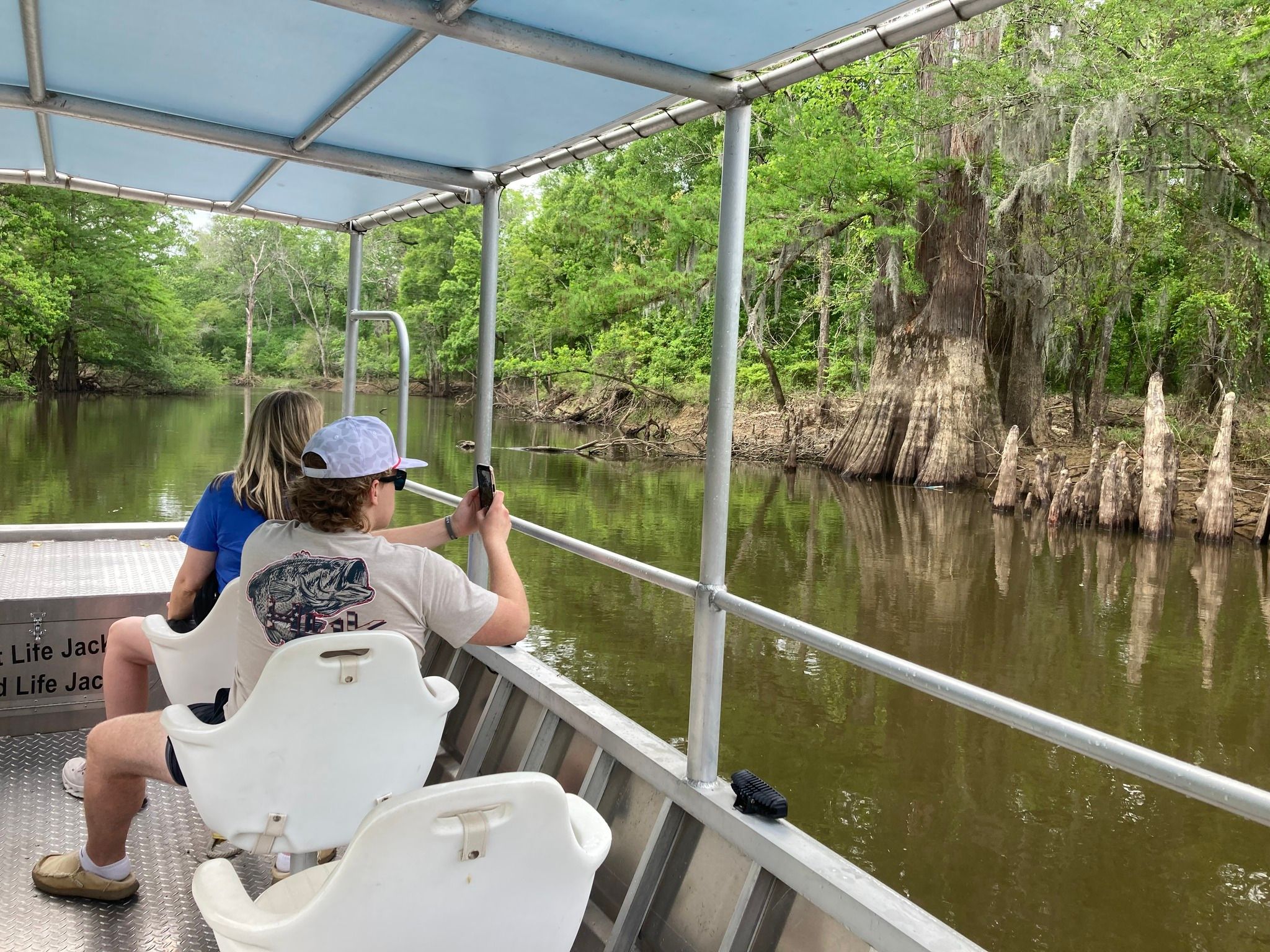 Honey Island Swamp at Pearl River, Louisiana — cypress canopy and still water
