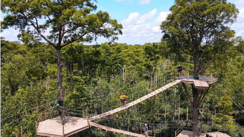 Treetop walkway platforms high above the forest canopy