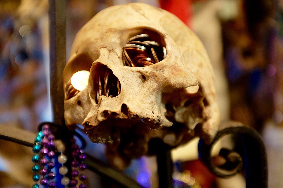 Skull display at the New Orleans Historic Voodoo Museum
