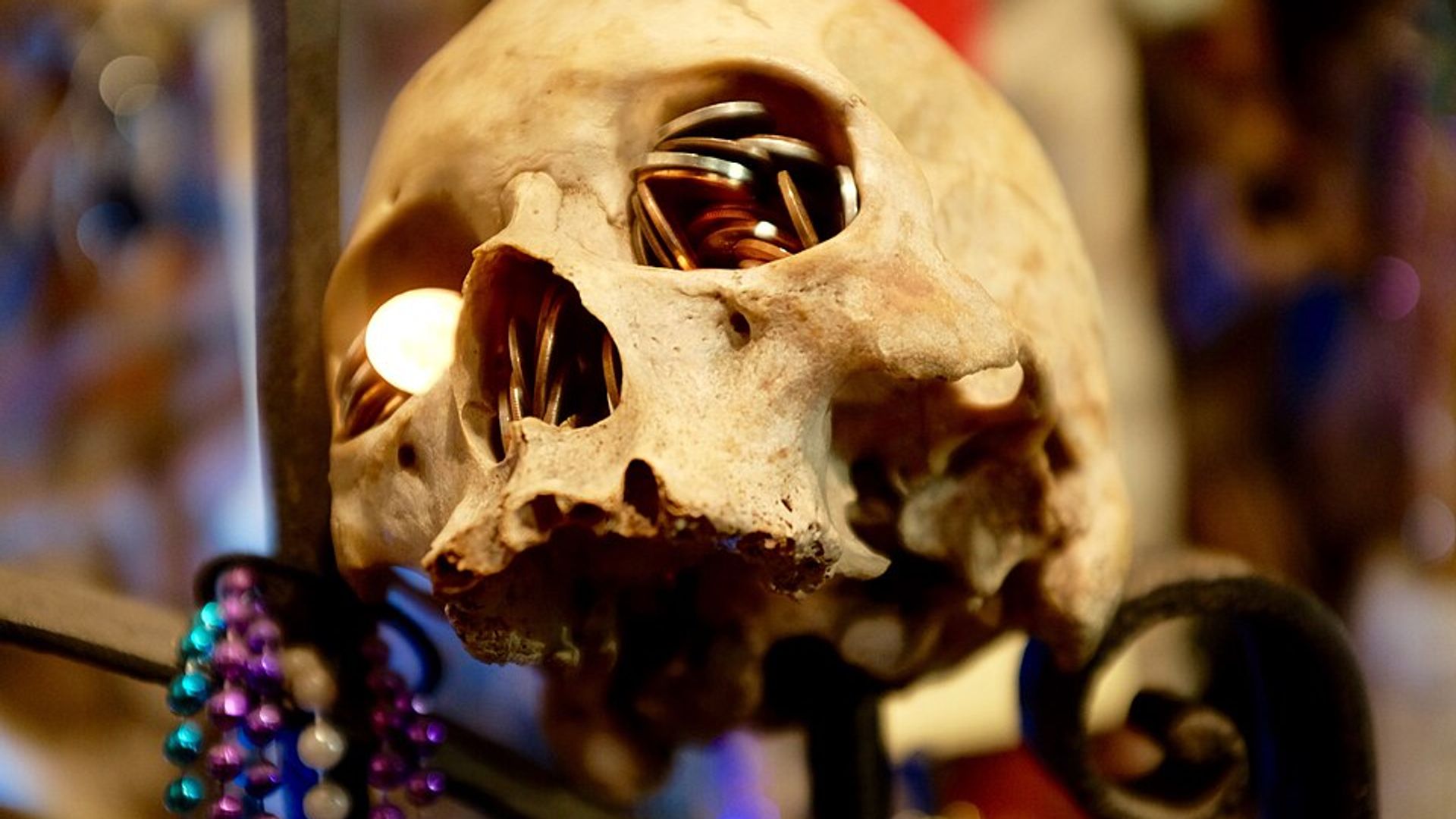 Skull display at the New Orleans Historic Voodoo Museum
