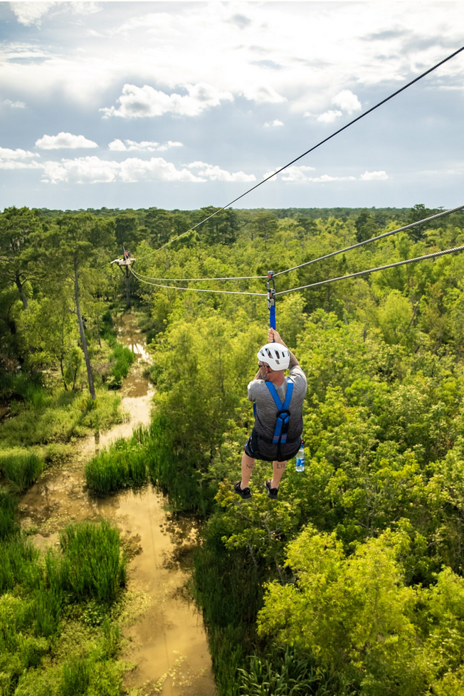 Zipline rider soaring over the Louisiana forest canopy