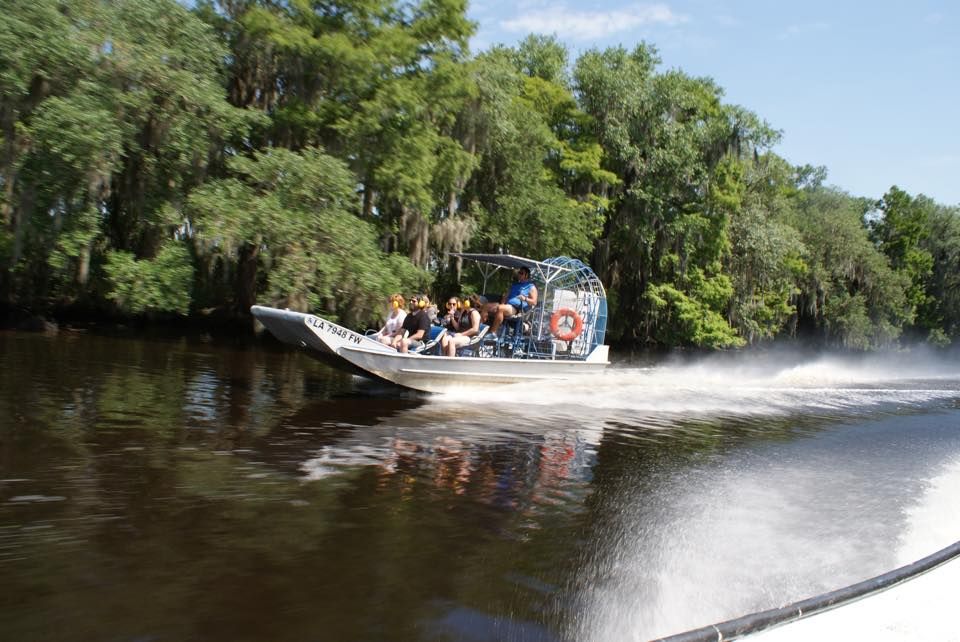 Intimate 6-seat premium airboat tour in the New Orleans bayou