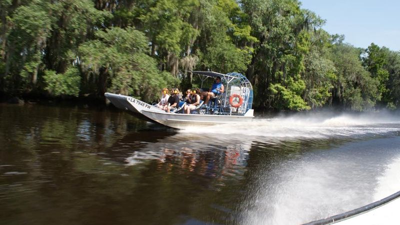 Intimate 6-seat premium airboat tour in the New Orleans bayou