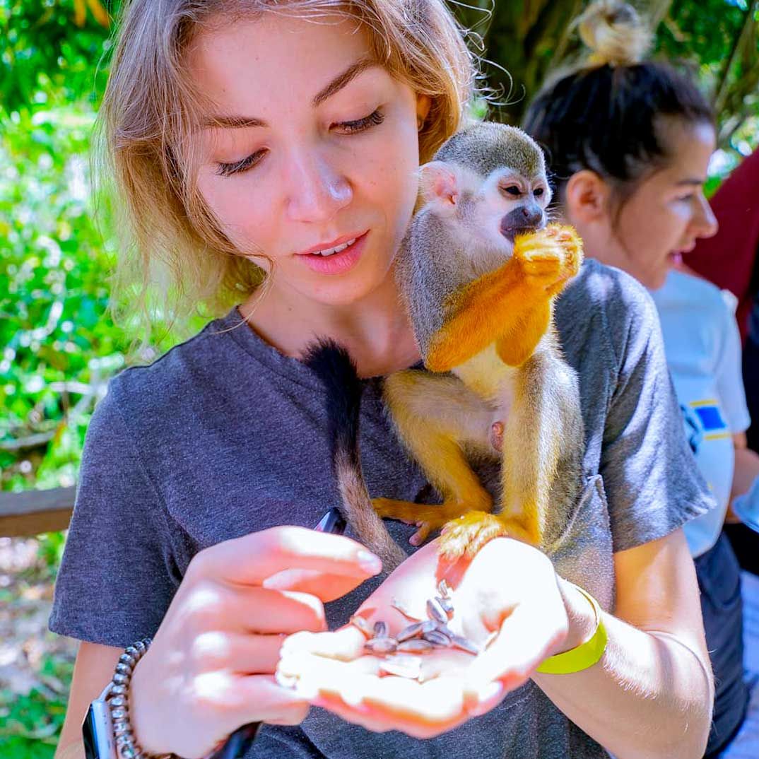 Monkeyland Safari Punta Cana