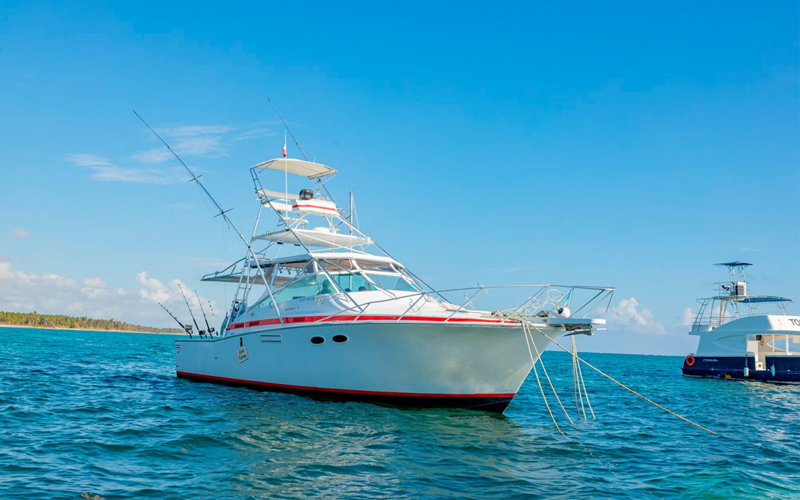 Deep Sea Fishing Private image 1