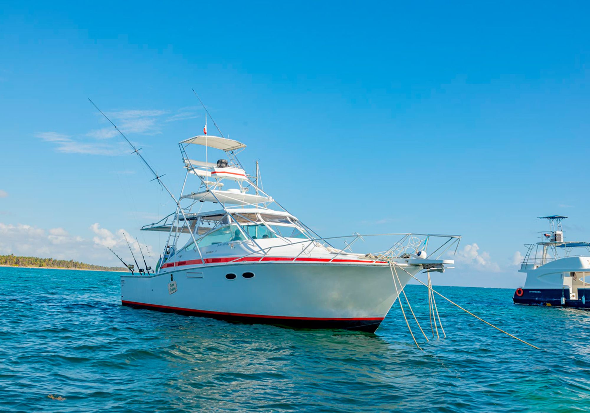 Deep Sea Fishing Private gallery 1