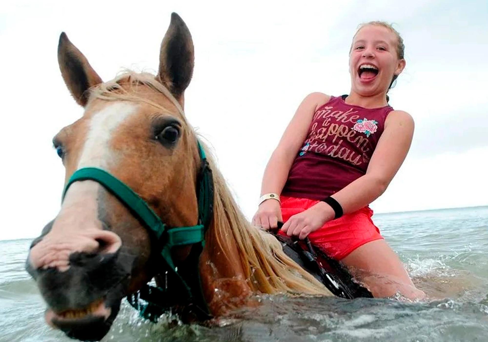 Swim With Horses in Punta Cana gallery 4