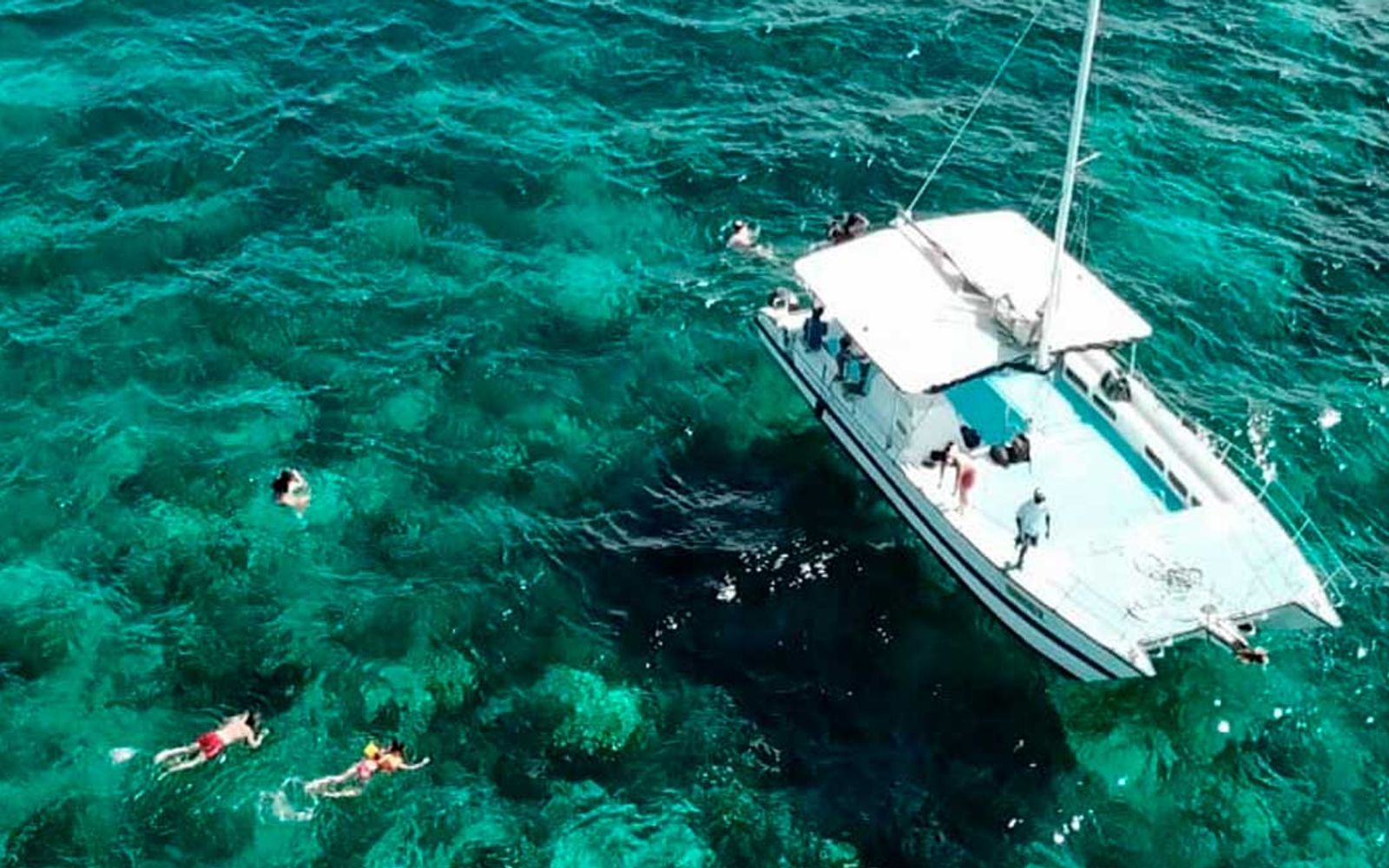 Snorkel Paradise Catalina Island Snorkeling image 1