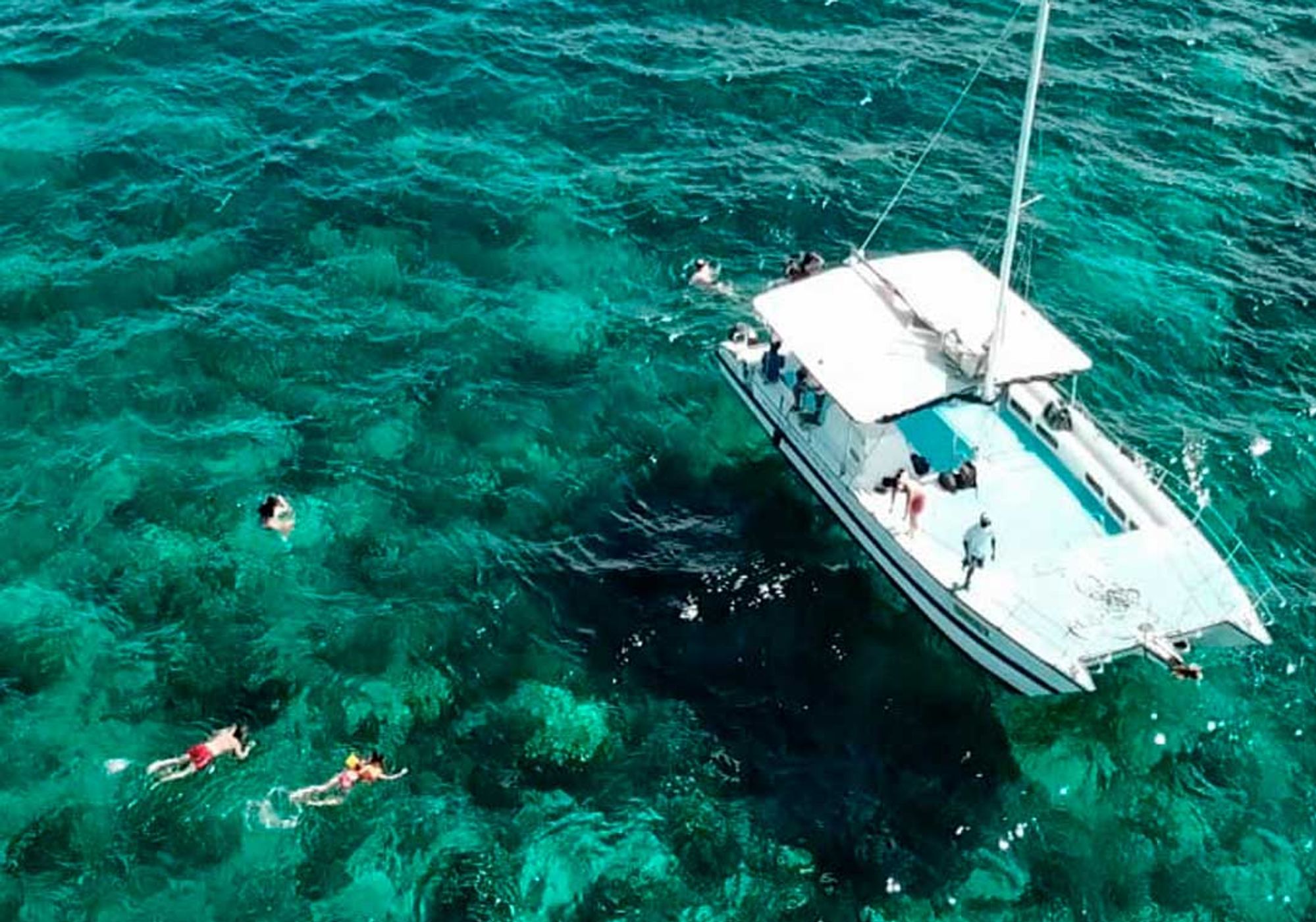 Snorkel Paradise Catalina Island Snorkeling gallery 1