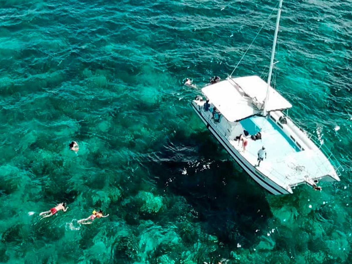 Snorkel Paradise Catalina Island Snorkeling image 1
