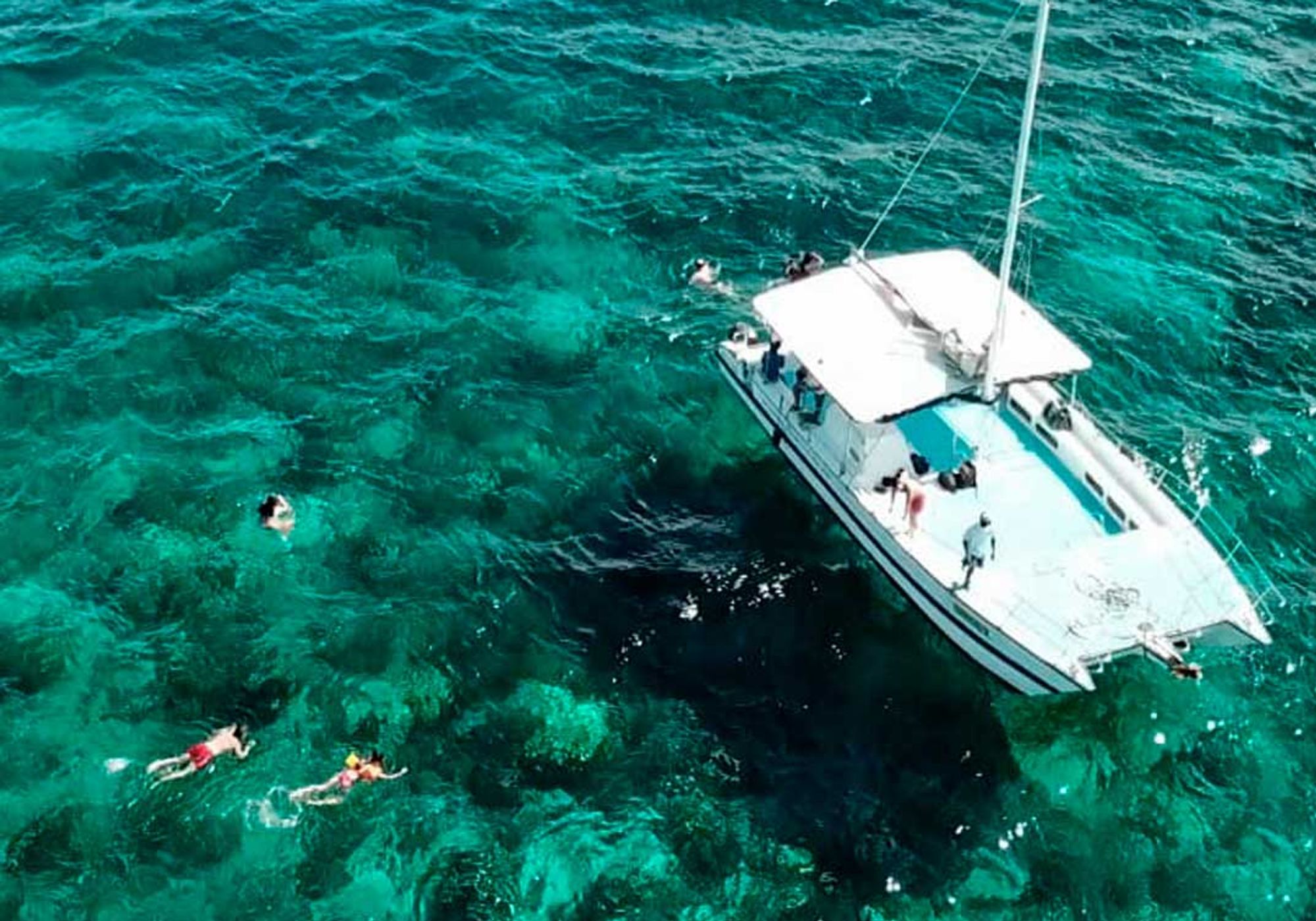 Snorkel Paradise Catalina Island Snorkeling gallery 1