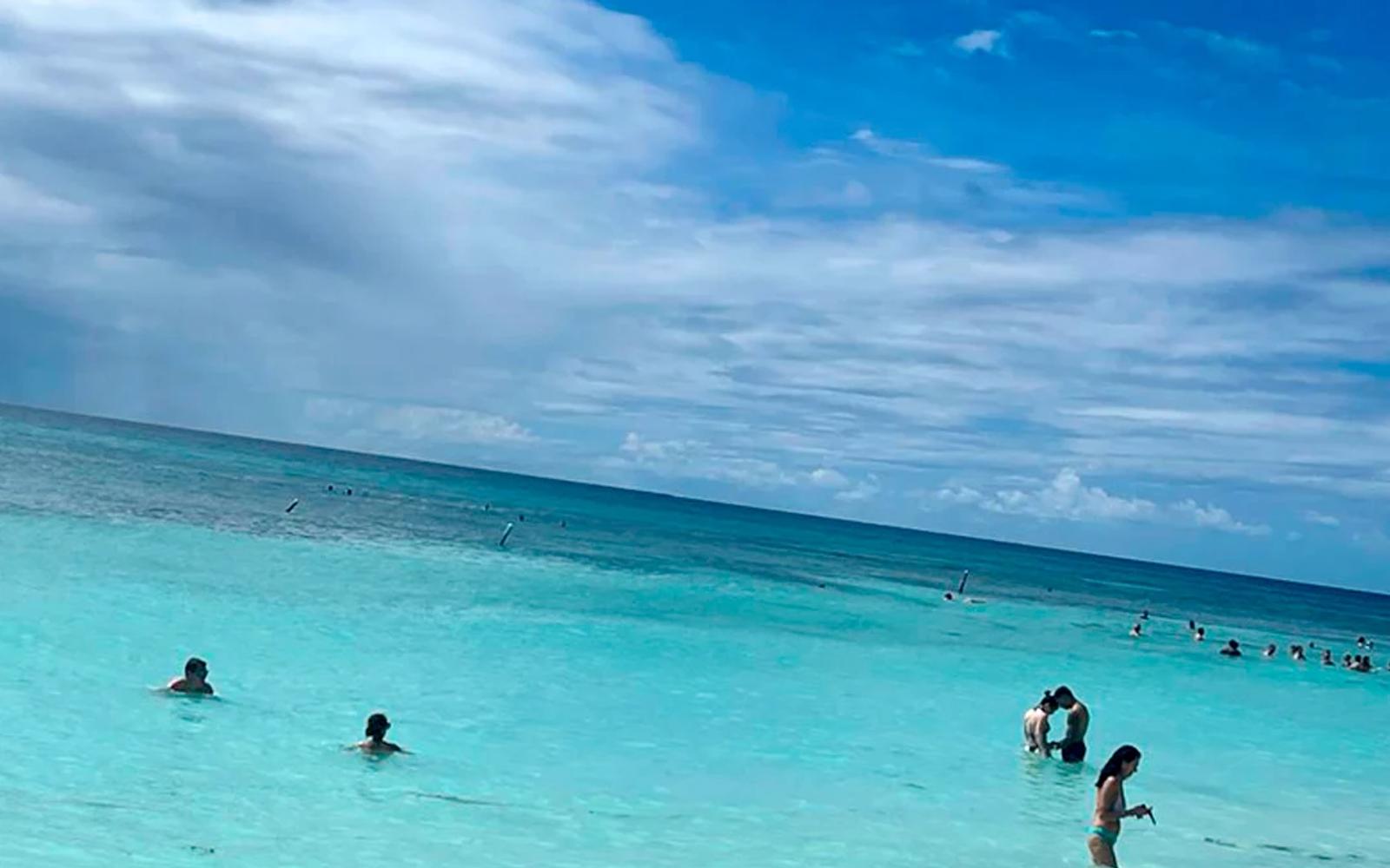 Saona Island VIP: A Tropical Escape to Remember image 3
