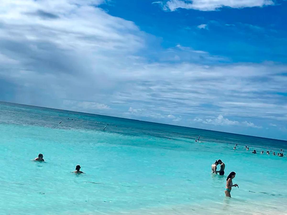 Saona Island VIP: A Tropical Escape to Remember image 3