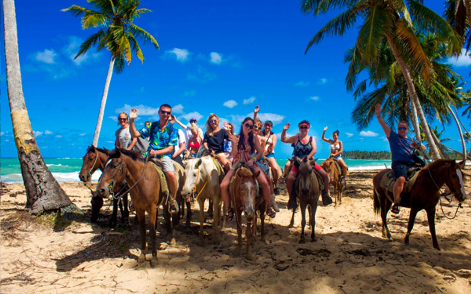 Montaña Redonda + Horse Back Riding image 3