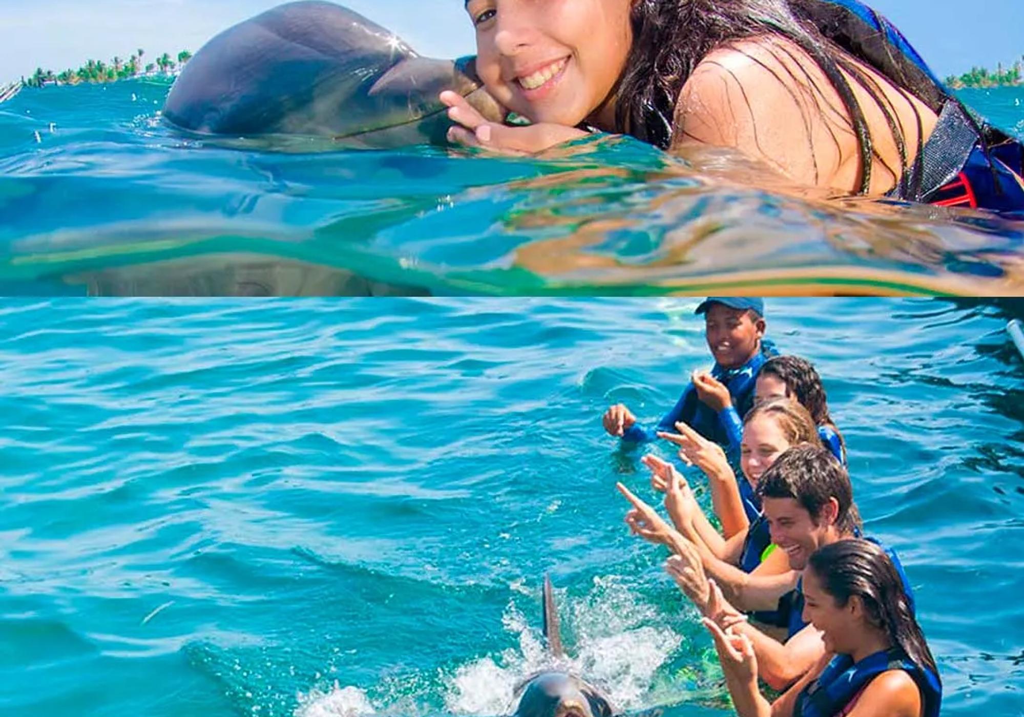 Swim with Dolphins Explorer gallery 3