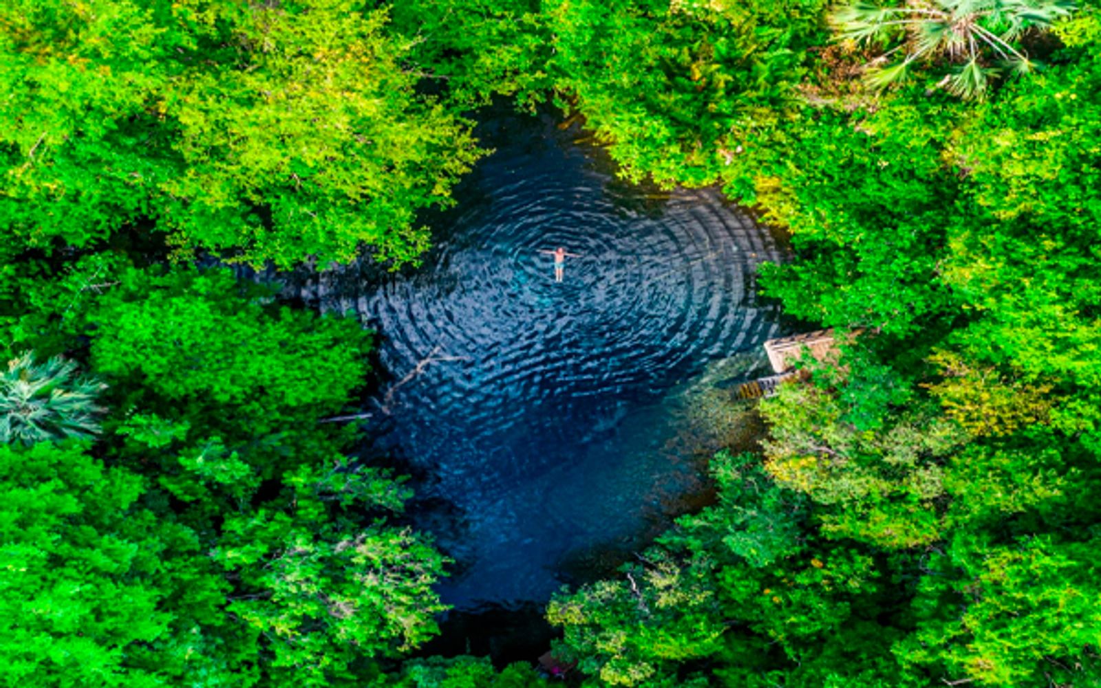 Caribbean Sea with Private Cenote Los Ojos Indígenas image 3