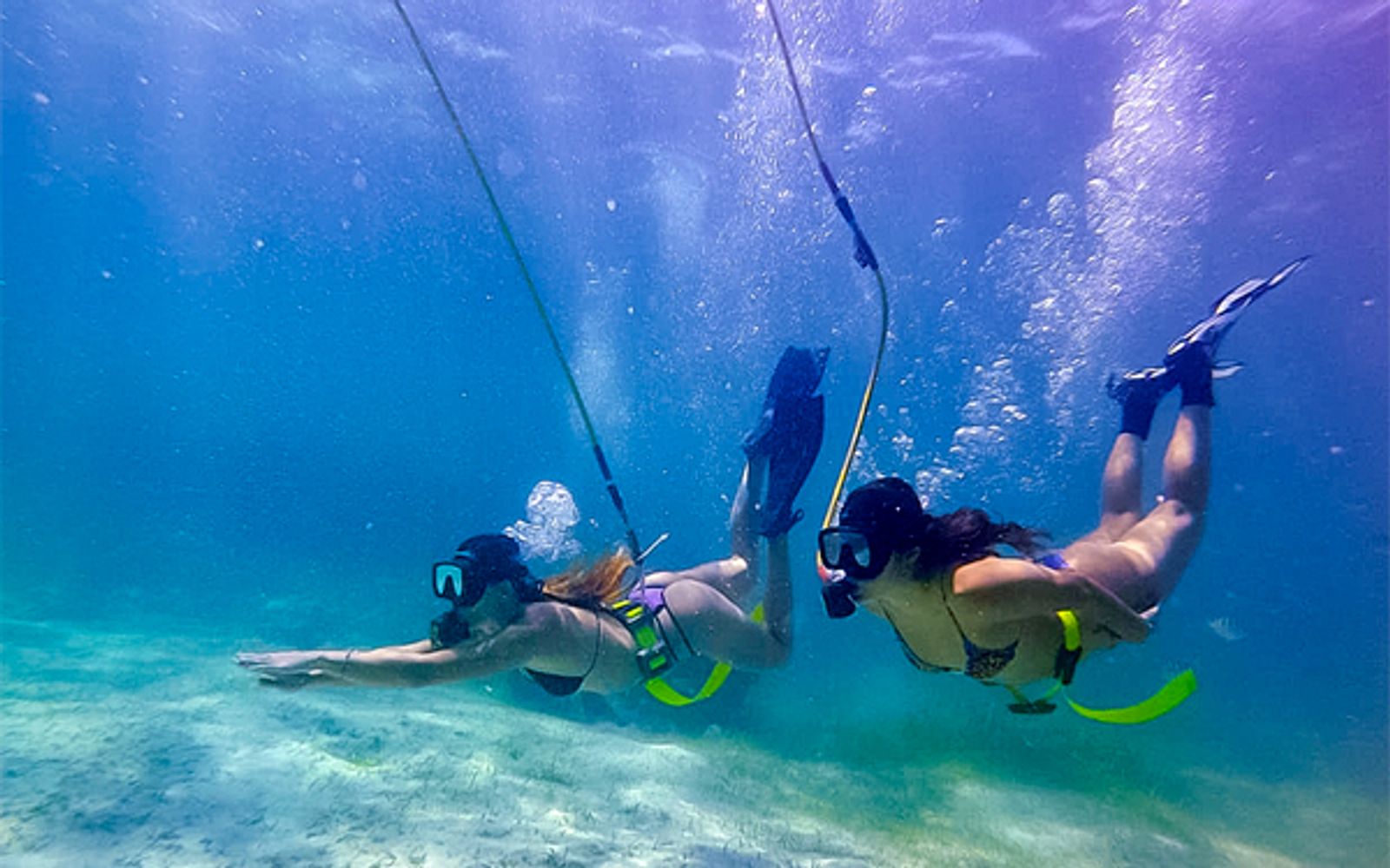 Punta Cana Sky & Sea Adventure image 1
