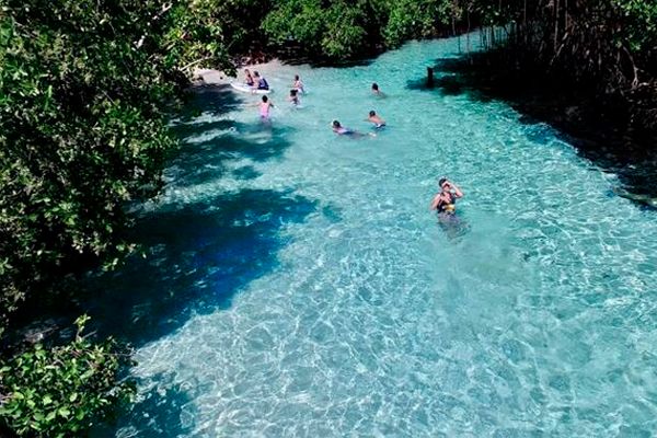 Full Day Tour in Samana Serenity — 5