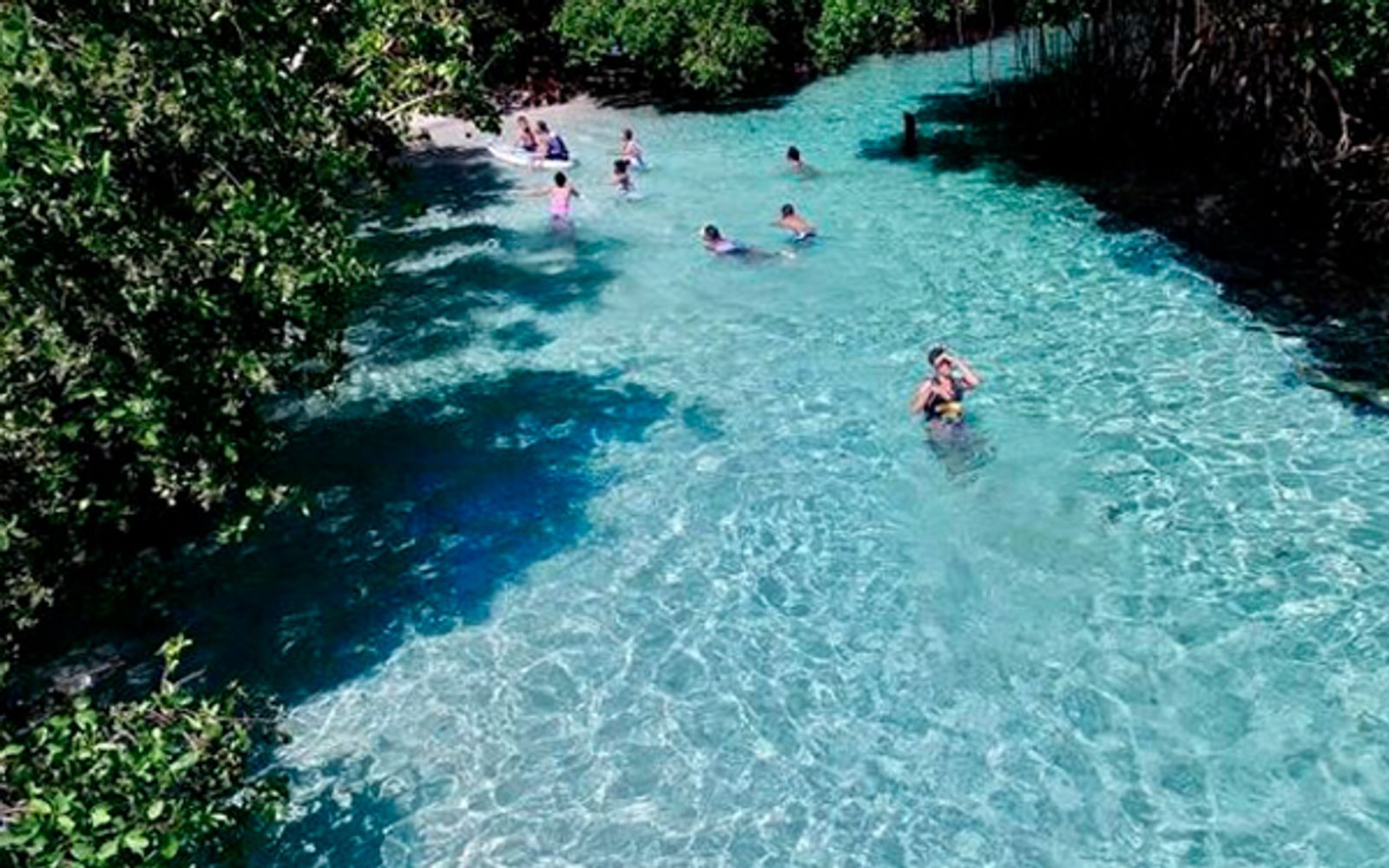 Full Day Tour in Samana Serenity image 1