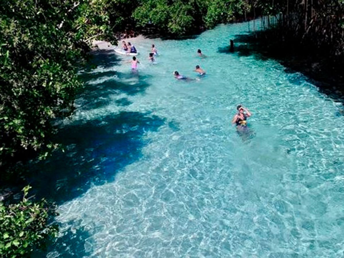 Full Day Tour in Samana Serenity image 1