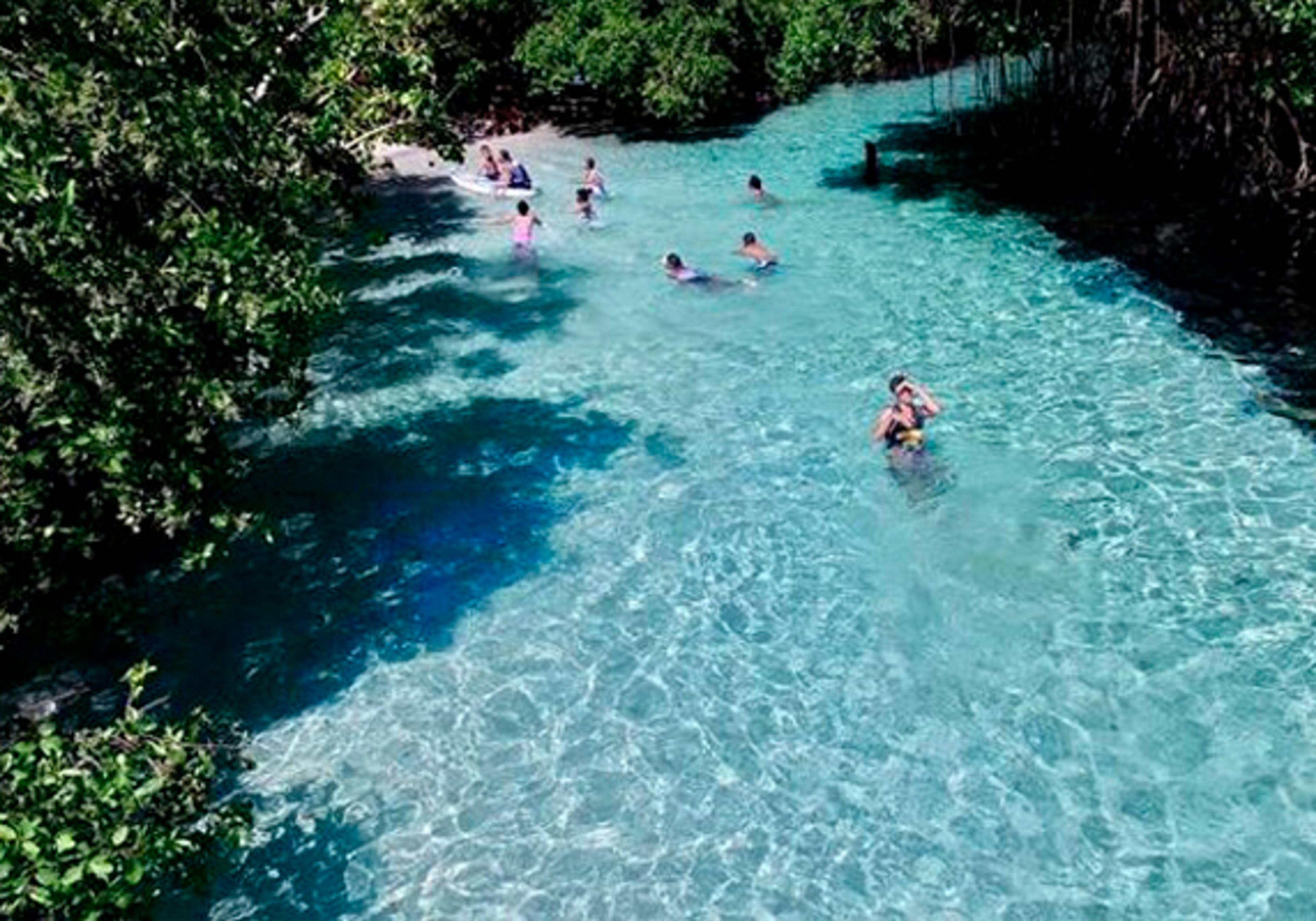 Full Day Tour in Samana Serenity — 5