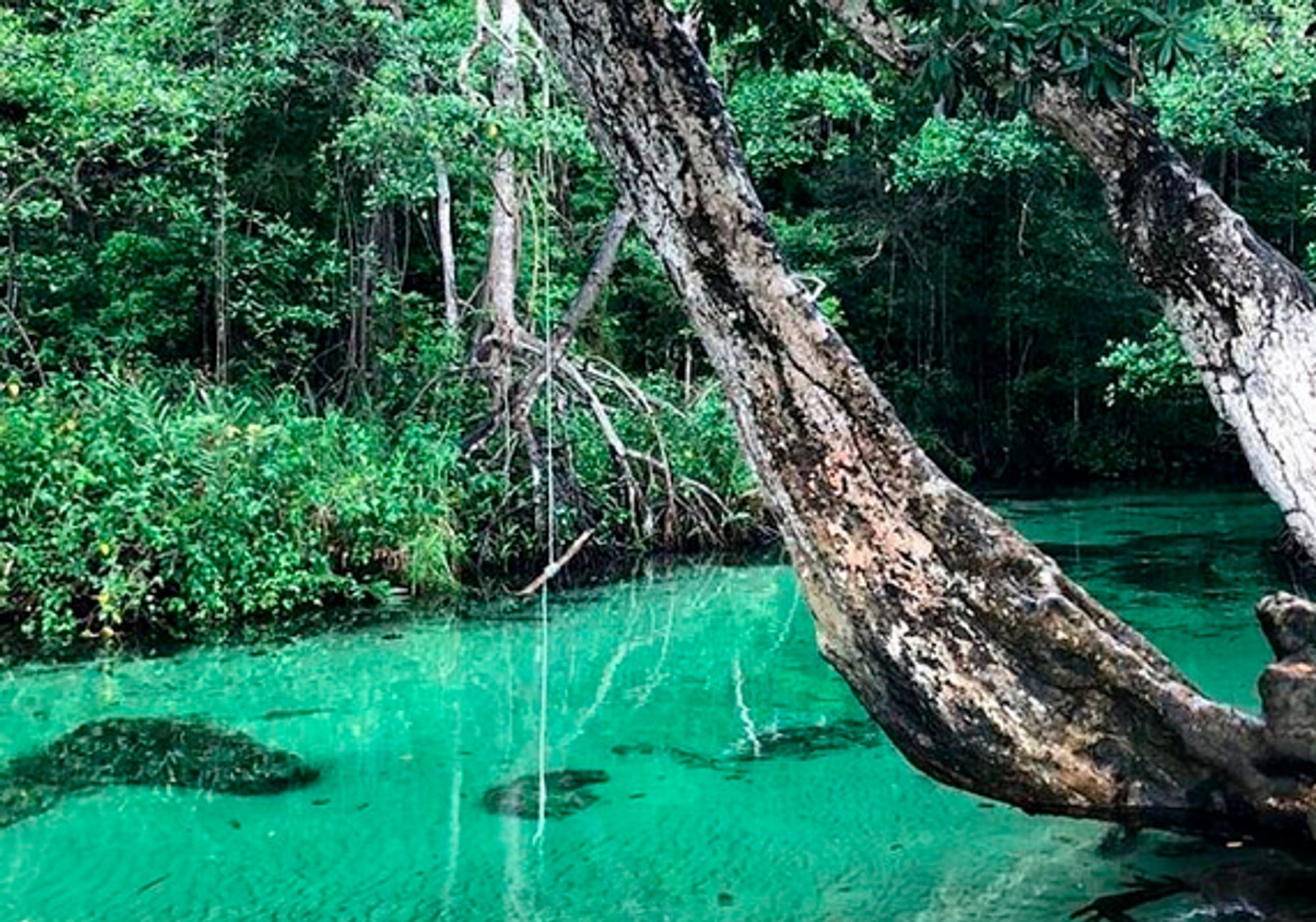 Full Day Tour in Samana Serenity gallery 2
