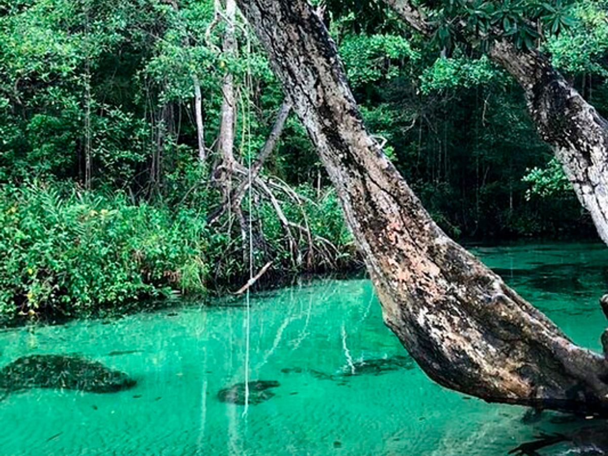 Full Day Tour in Samana Serenity image 2