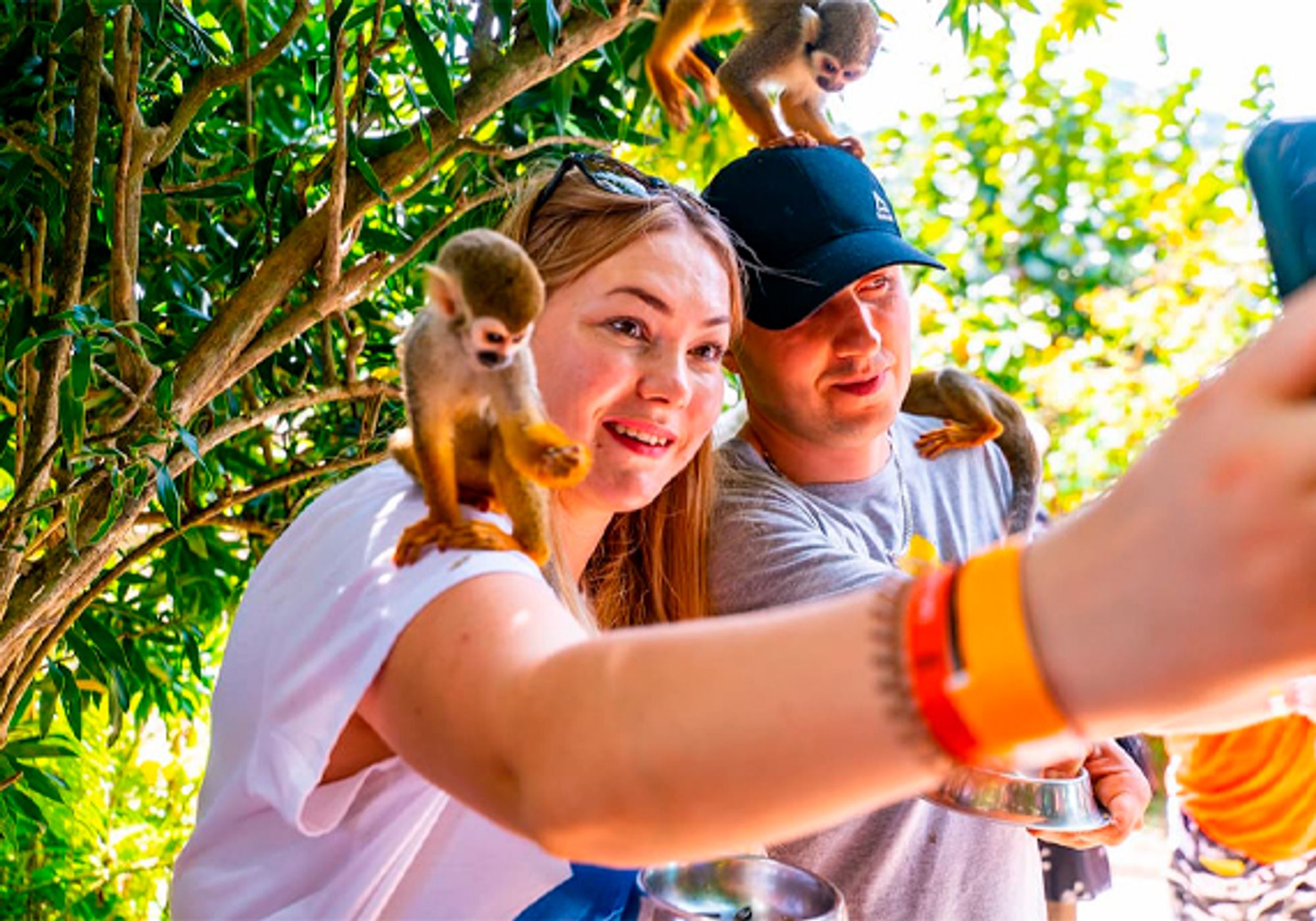 Ultimate Buggies & Monkeys gallery 5