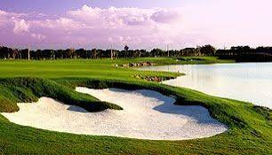 Hard Rock Golf Club at Cana Bay  — 4