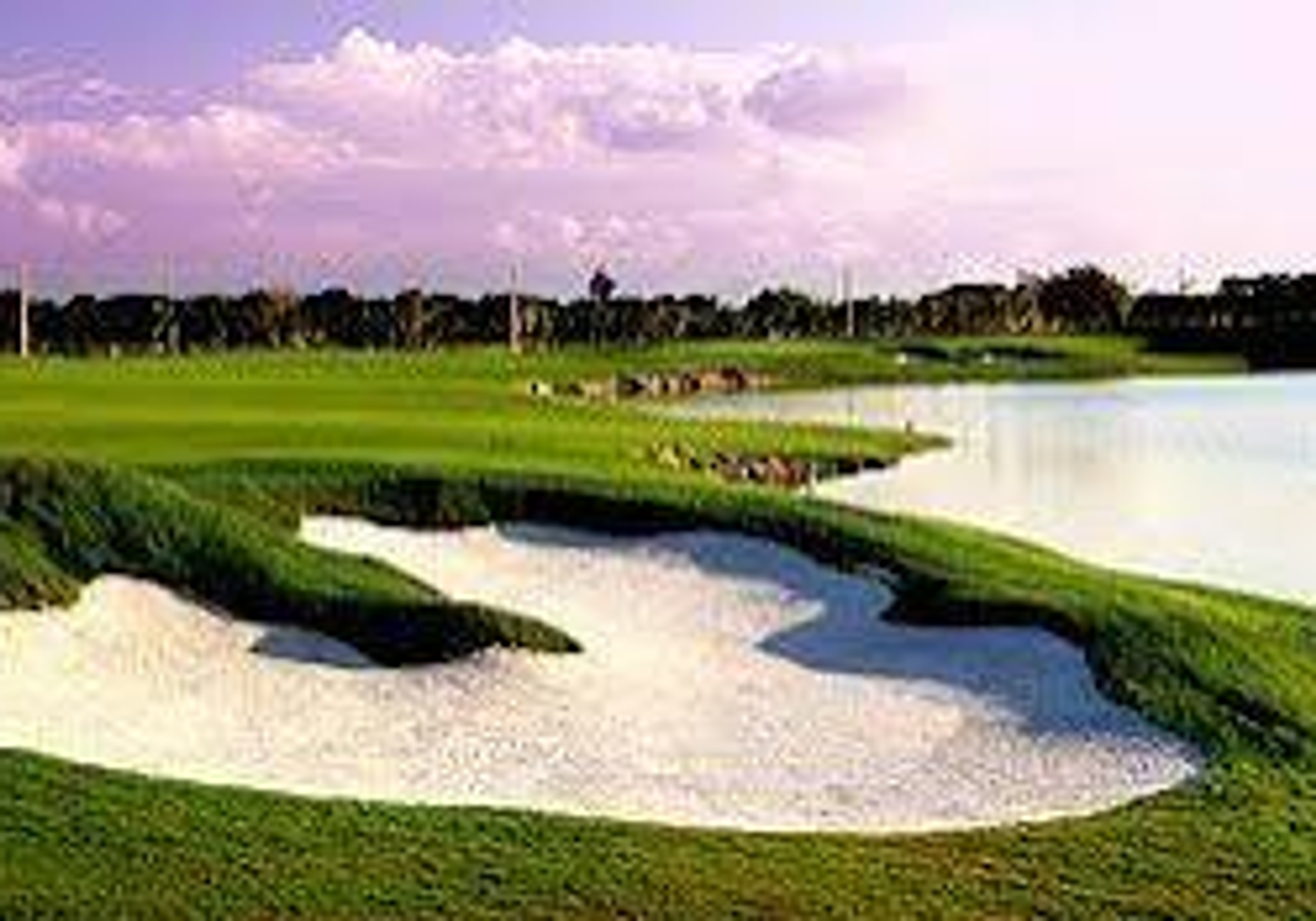 Hard Rock Golf Club at Cana Bay gallery 4