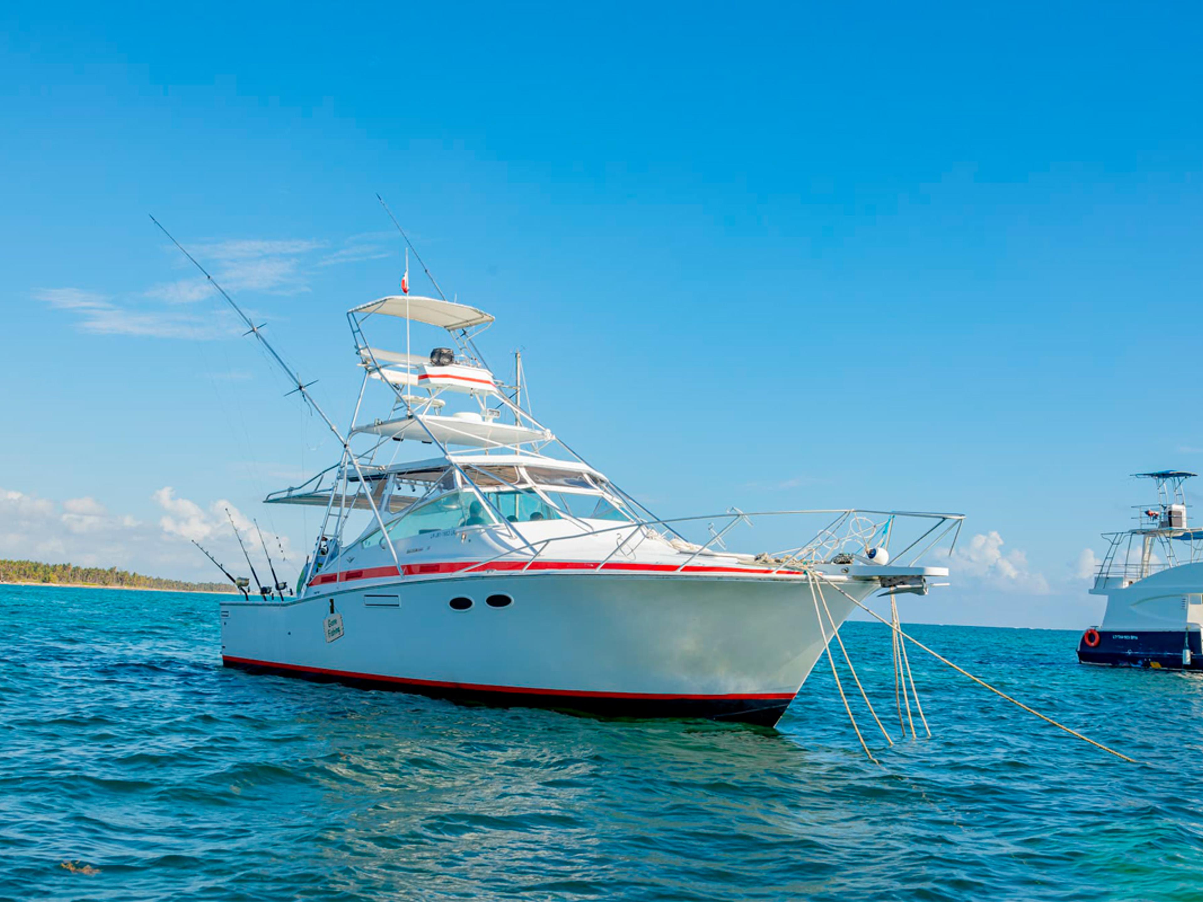 Deep Sea Fishing Private